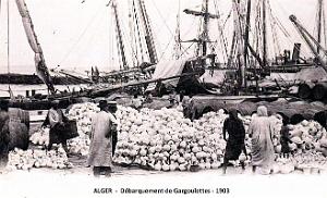 2666- Alger - Debarquement de Gargoulettes - 1903